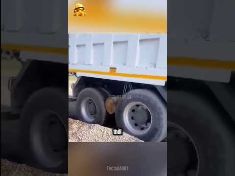 Bí Mật Mẹo Giải Cứu Bánh Xe Tải Sập Vũng Bùn Lầy Bằng Thân Cây Gỗ thumbnail