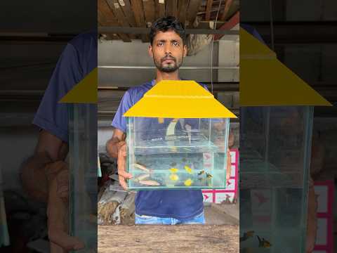 Amazing Glass Aquarium Build for Beautiful Fish #shorts thumbnail