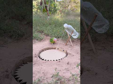 Creative And Beautiful Trap #shorts thumbnail