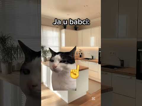 Babcia♥️♥️♥️ #śmieszne #cat #meme #shorts thumbnail