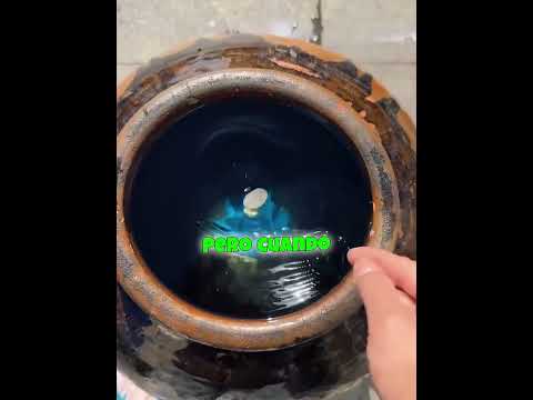 Solo un corazón puro puede dejar caer la moneda 🙏✨ thumbnail
