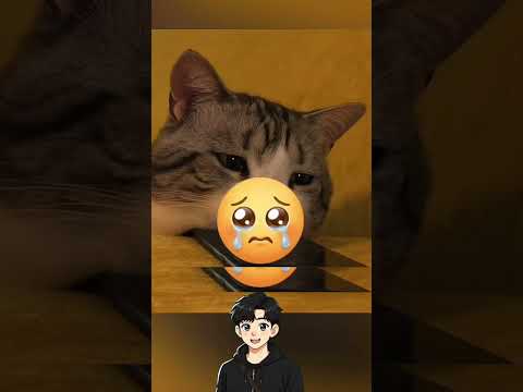เอาหิมะไปส่องใต้กล้องจุลทรรศน์ แล้วสิ่งนี้ก็เกิดขึ้น!!? thumbnail