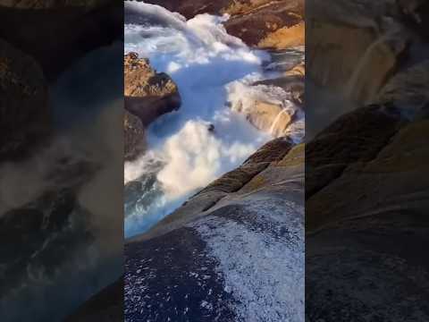 When He Jumped In The Water He Realised The Mistake He Had Just Made… thumbnail