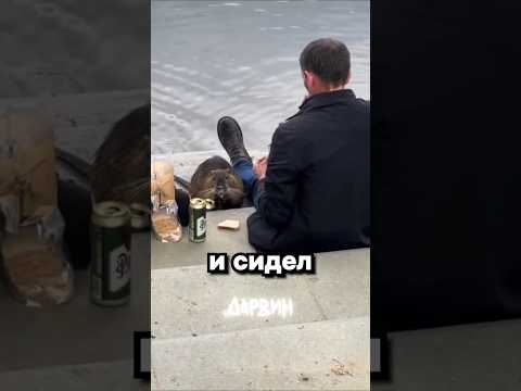Моя жизнь мечты thumbnail