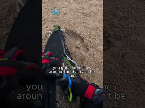 Seal Entangled In Ghost Gear #shorts thumbnail