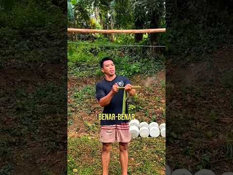 Yang Pernah Main Ini Waktu Kecil Pasti Kaget Lihat Versi Ini thumbnail