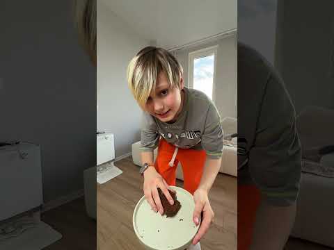 А вы кормите кошек ? #немалой #юмор thumbnail