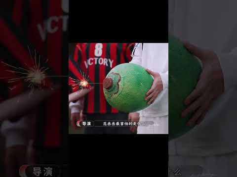 不是说范丞丞跟白鹿是最有默契的吗？#奔跑吧14 #白鹿 #范丞丞 thumbnail