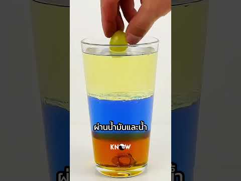 บทพิสูจน์ความหนาแน่นของของเหลว! thumbnail