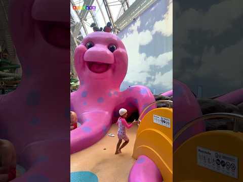 Kids Explore Tropical Islands — The World’s Largest Indoor Water Park 🌴💦 thumbnail