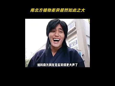 没想到南北方植物差异居然如此之大 #南北差异 #绿植 #离谱 #万万没想到 thumbnail