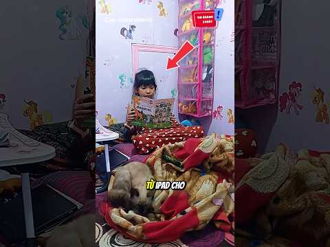 Ngôi nhà đặc biệt trên cây của bé gái: ? #shorts thumbnail