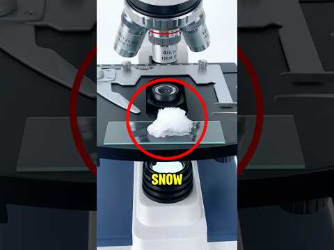 Putting Snow Under a Microscope and This Happened‼️🤯 thumbnail