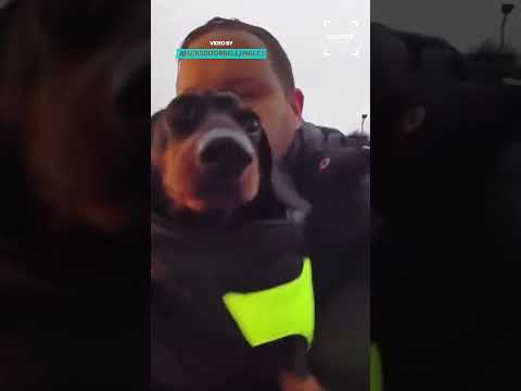 Doorbell Singalong #dog thumbnail