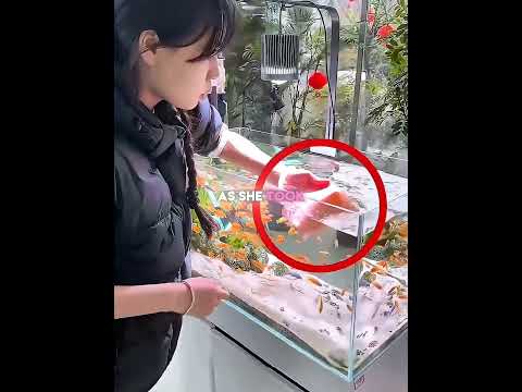 She Accidentally Cleaned the Entire Fish Tank 😱🐟 thumbnail