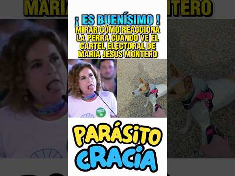 MIRAR COMO REACCIONA LA PERRA CUANDO VE EL CARTEL ELECTORAL DE MARÍA JESÚS MONTERO ? thumbnail