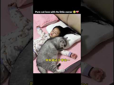 Pure cat love with Its little owner 🥹❤️‍🩹 thumbnail