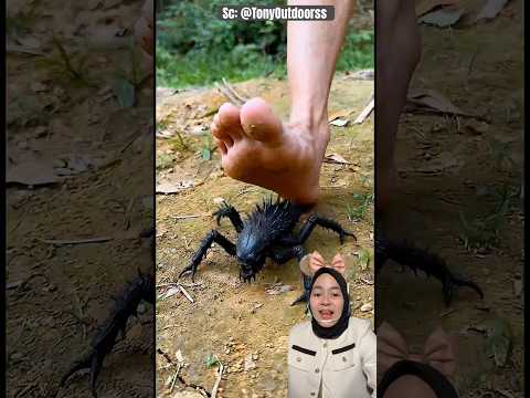 Keinjak Hewan ANEH ‼️TonyOutdoorss thumbnail