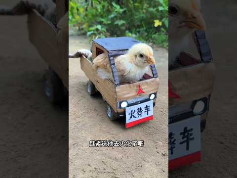 🎒 Duckling’s Crazy Ride to School!#shorts #ytshorts #shortsfeed thumbnail