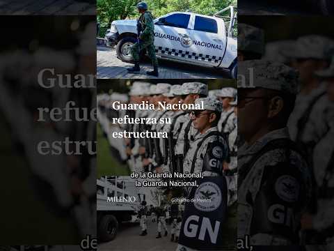Defensa revela nuevo plan para consolidar la Guardia Nacional en México thumbnail