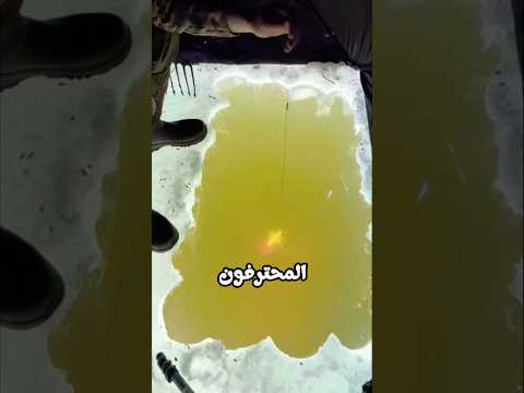 الفيزياء وراء الرمية المثالية للرمح thumbnail