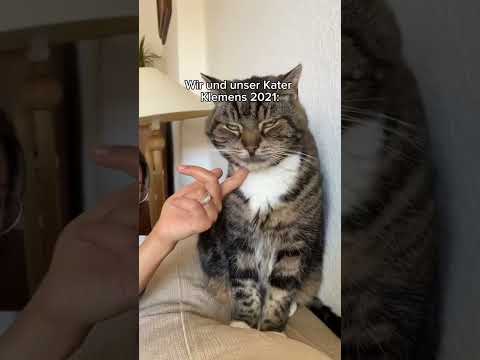 Allerdings wusste sie, dass es Klemens gab #short #short #emmalyria thumbnail