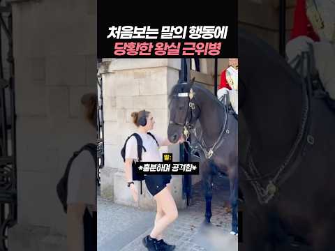 처음보는 말의 행동에 당황한 왕실 근위병 thumbnail