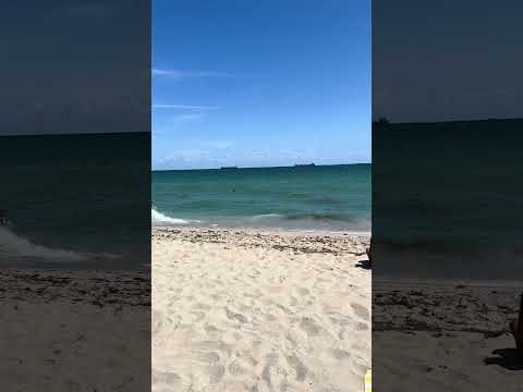🇺🇸 Hot day at Miami beach thumbnail