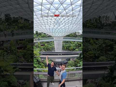 My FAVE travel camera🙌 thumbnail