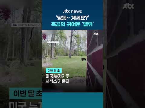 '딩동~ 계세요?' 미국서 포착된 흑곰의 귀여운 '벨튀' #JTBC #Shorts thumbnail