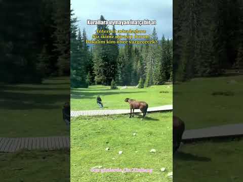 Kurallara uymayan inatçı bir at #shorts #xinjiang #çin thumbnail