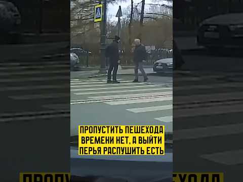Пешеход не стерпел, когда его не пропустили thumbnail
