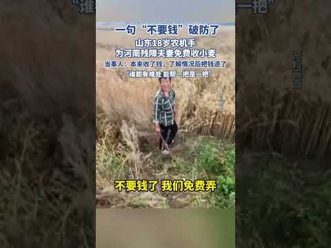 一句“不要錢”破防了，山東18歲農機手為河南殘障夫妻免費收小麥。 thumbnail