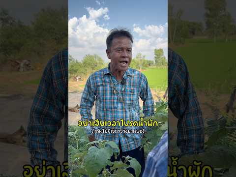 รดน้ำผักอยู่ดีๆ ก็มีเรื่องให้เสียตัง 🤣 #ลุงมีของดี thumbnail