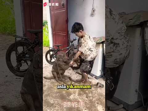 Annem Gelmeden Her Şeyi Yıkadık! 🚿🧼 thumbnail