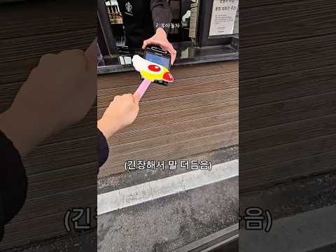 (2탄) 결제할 때 카드캡터가 되어보자 thumbnail