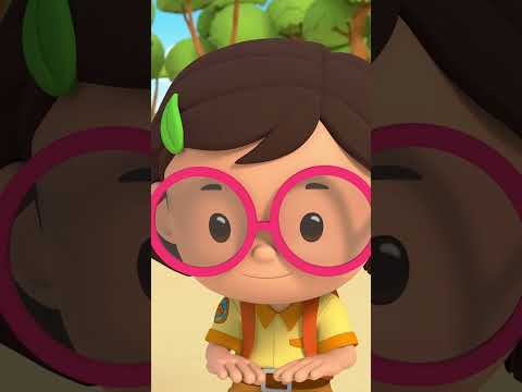 Making a Path for the Baby Sea Turtles! | Leo the Wildlife Ranger #shorts thumbnail