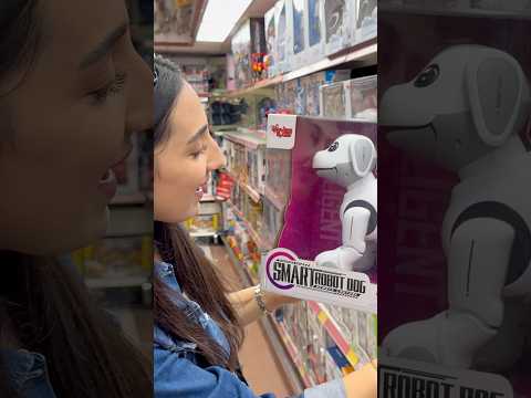Şu robot köpeği Bilge’ye alsam çıldırır😂 #aboneolmayiunutmayin #kesfeteyyiz #funny #shorst #foryou thumbnail
