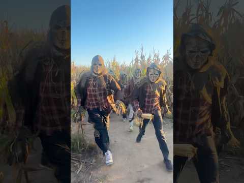 Found them in a Haunted Corn Maze!!! RUN!! thumbnail