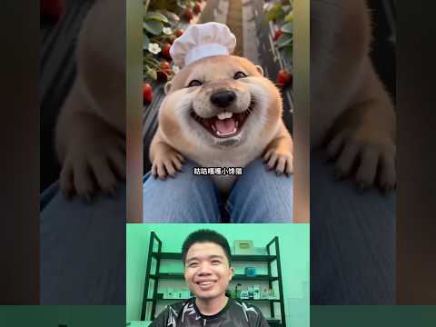What The Dog Doing P156: PiPi LaBu Ăn Vụng Dâu. thumbnail