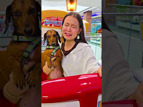 А АРИАНУ НЕ ЗАБЫЛИ?🤣 thumbnail