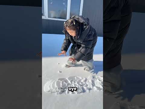 Hay Un Animal Dentro Del Hielo ?? thumbnail
