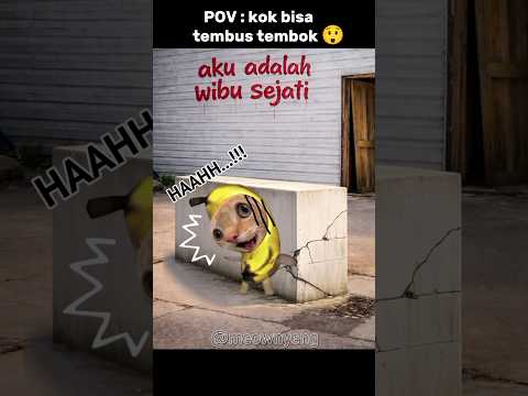 😲😲😲 #memes #komedi #cat #lucu #logika #trending thumbnail