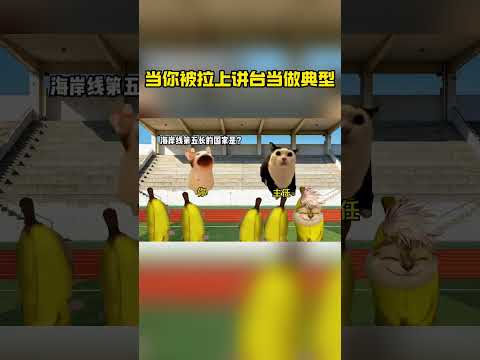 帽子这么高是想超过人民吗？#猫meme #猫meme小剧场 #搞笑 thumbnail