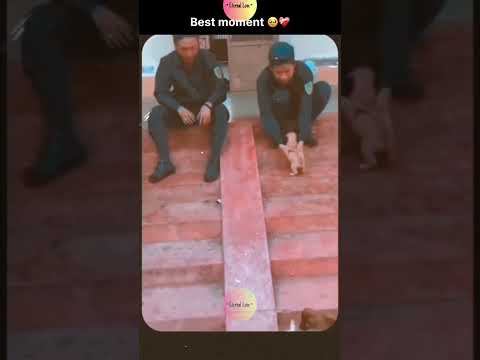 Best Moment 🥹❤️‍🩹 thumbnail