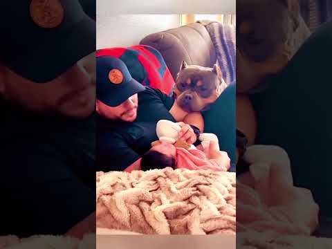 #love #baby thumbnail