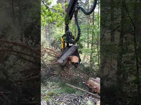 Harvester 1270G: Brutal Power in Wood Cutting and Processing #forest #johndeere #harvester #wood thumbnail