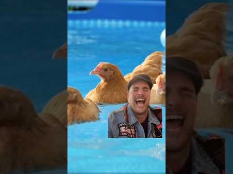 POULE PARTY! #french #poule #swimmingpoule #merch #tshirts #carpoule thumbnail