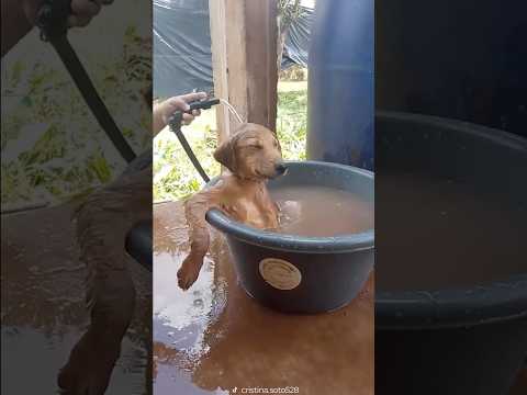 Best way to cool off during a heatwave 😎❤️ thumbnail