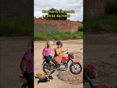 CACHORRO CORRENDO ATRÁS DA MOTO thumbnail